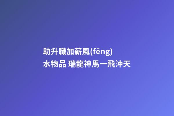 助升職加薪風(fēng)水物品 瑞龍神馬一飛沖天